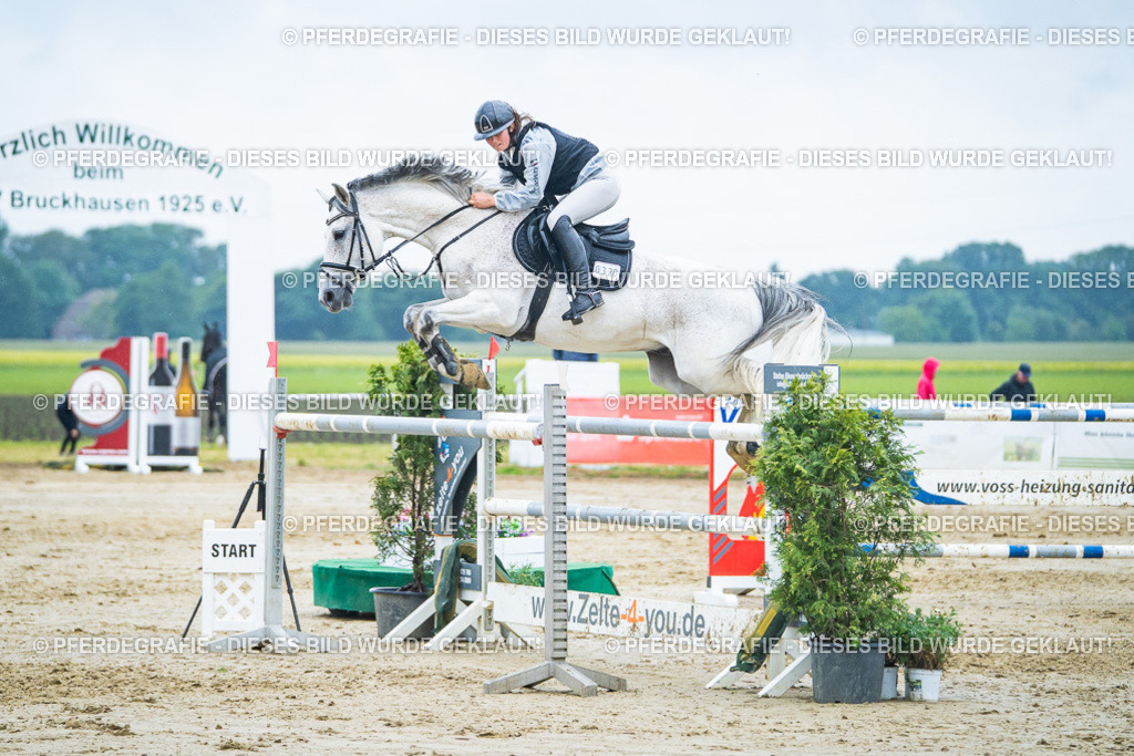 DSC00460 | Pferdegrafie