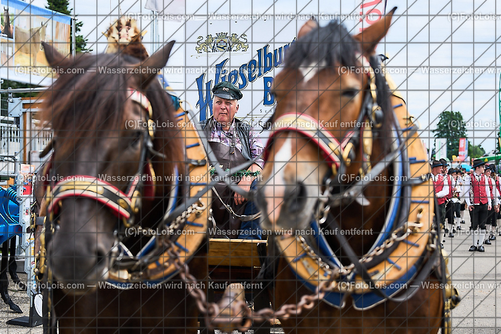 ALP9266_MESSE_LAND-FORST-JAGD_Wieselburger Bierwagen | (C)FotoLois.com, Alois Spandl, WIESELBURGER MESSE LAND-FORST-JAGD, Eröffnung mit Messerundgang mit BM Norbert Totschnig, LH Johanna Mickl-Leitner, LH-Stv. Stephan Pernkopf, LLK Johannes Schmuckenschlager, GF Marion Heim, Hannes Heindl, Bgm. Josef Leitner, Bgm. Franz Rafetseder, ..., Do 6. Juni 2024.