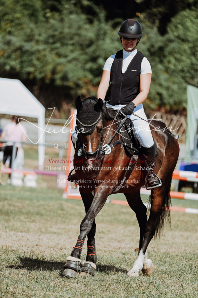DSC_9851 | Pferde- und Turnierfotografie in Westsachsen. Pferdeportraits, Auftragszeichnungen und intuitive Kunst.