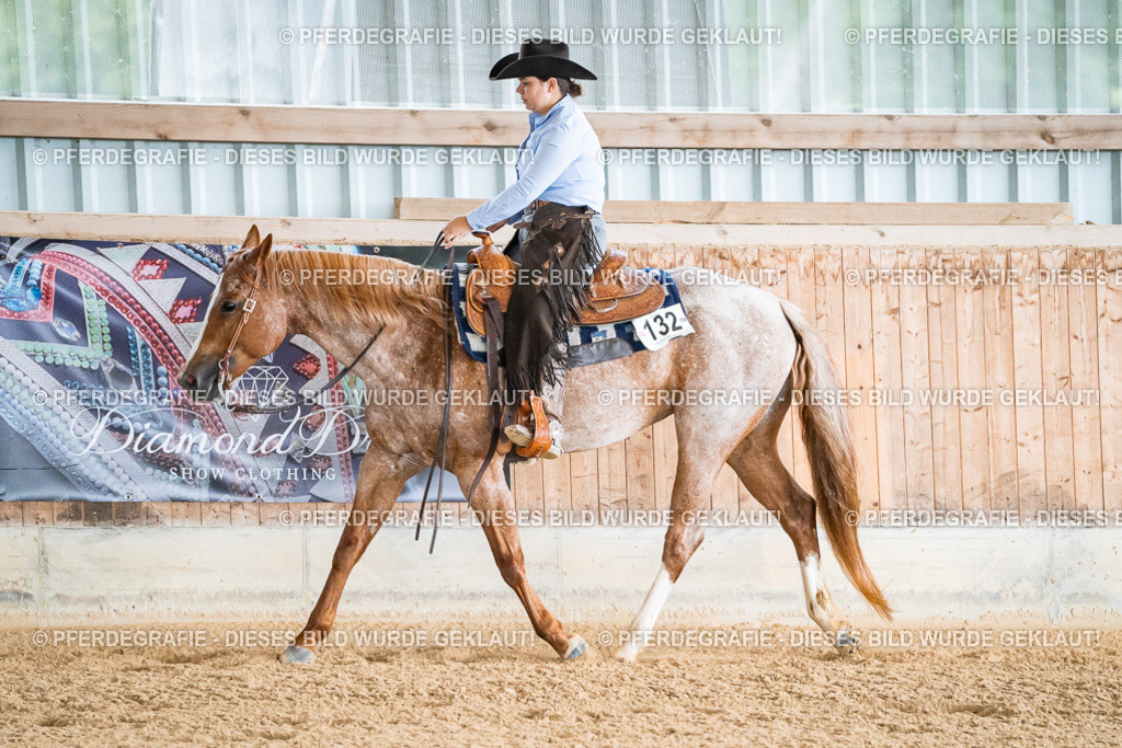 DSC09901 | Pferdegrafie