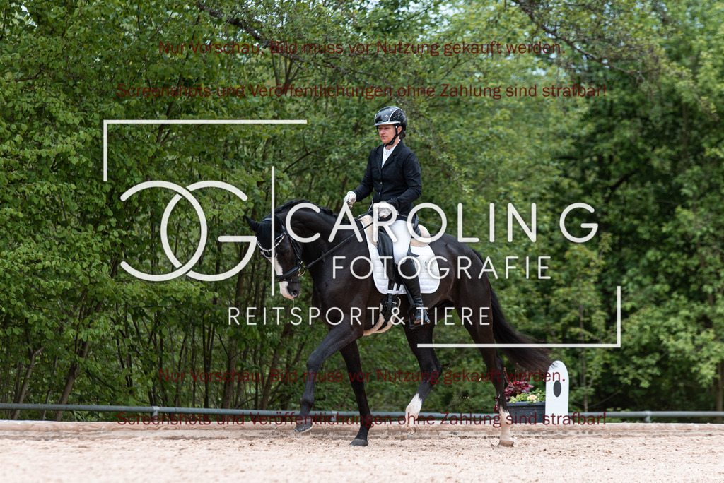 DSC_6726 | Turnierfotografin Carolin Gieschke,Reitsport Turnierfotografie Carolin G Fotografie | Turnierfotos aus Kirchheim/Teck, Esslingen, Stuttgart und dem Bodenseekreis