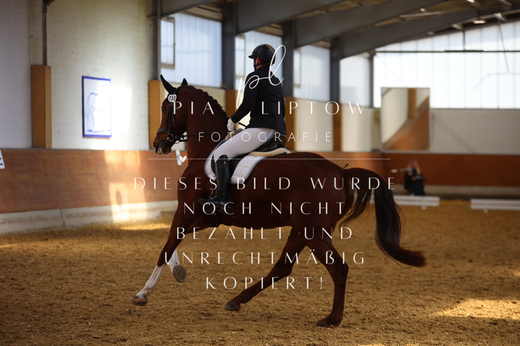 IMGT4849 | pl-fotografie