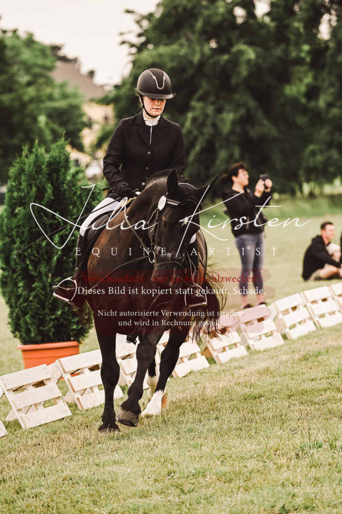 DSC_5095 | Pferde- und Turnierfotografie in Westsachsen. Pferdeportraits, Auftragszeichnungen und intuitive Kunst.