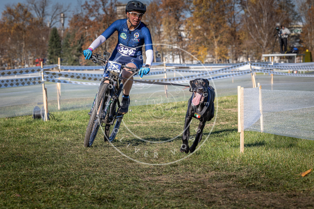 CaniXpix_0L8A5782 | Hundefotografie, Tierfotograf, Pfotenfotografie, Fotoshooting Hund, Hunde Portrait, Hundesport, Hundeportraits, Heideshooting, Hunde, Sportfotograf, Hundefotograf, Turnierhundsport, THS,  - Realisiert mit Pictrs.com