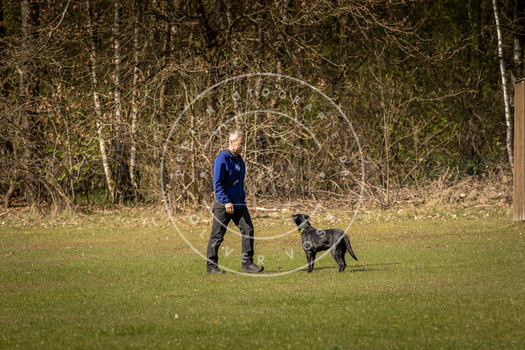Pfotenfotografie_DV3A0384 | Hundefotografie, Tierfotograf, Pfotenfotografie, Fotoshooting Hund, Hunde Portrait, Hundesport, Hundeportraits, Heideshooting, Hunde, Sportfotograf, Hundefotograf, Turnierhundsport, THS,  - Realisiert mit Pictrs.com