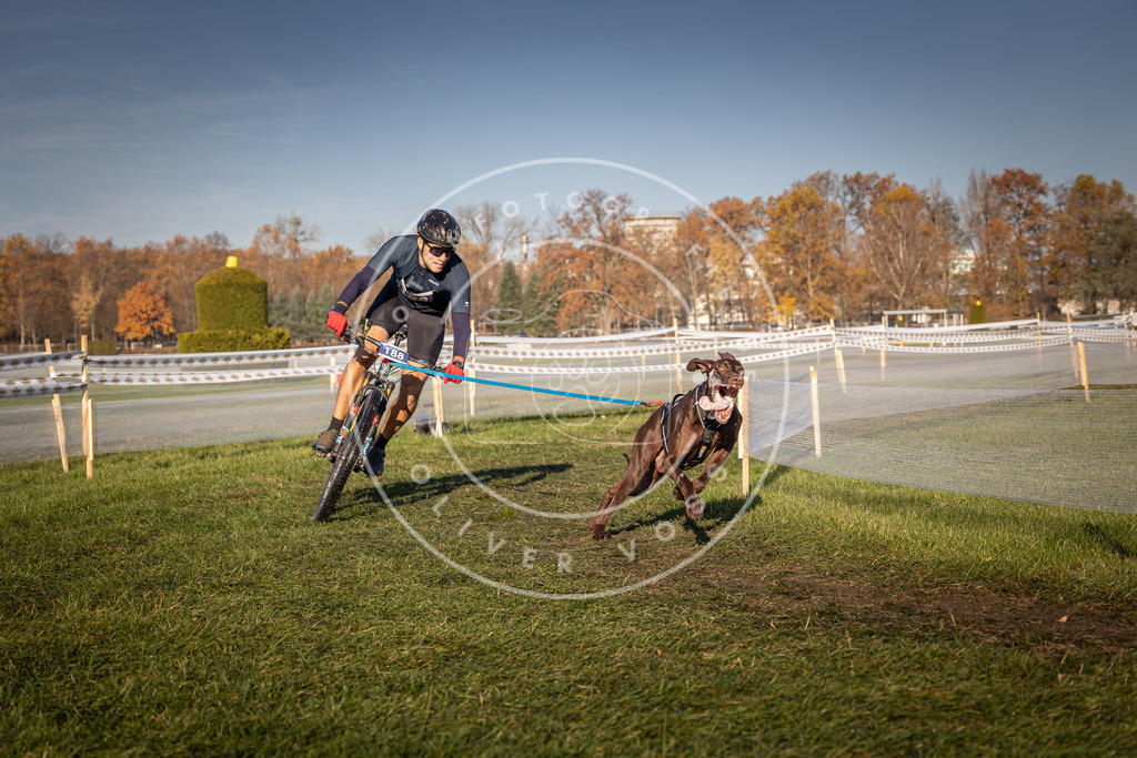 CaniXpix_0L8A4313 | Hundefotografie, Tierfotograf, Pfotenfotografie, Fotoshooting Hund, Hunde Portrait, Hundesport, Hundeportraits, Heideshooting, Hunde, Sportfotograf, Hundefotograf, Turnierhundsport, THS,  - Realisiert mit Pictrs.com