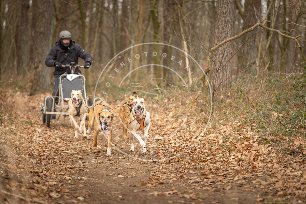 Pfotenfotografie_DV3A8664 | Hundefotografie, Tierfotograf, Pfotenfotografie, Fotoshooting Hund, Hunde Portrait, Hundesport, Hundeportraits, Heideshooting, Hunde, Sportfotograf, Hundefotograf, Turnierhundsport, THS,  - Realisiert mit Pictrs.com
