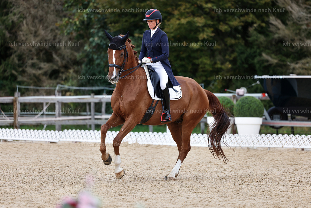 12-238-DRESSUR  S___  -StoibPH-5305 | working equitationturnier fotograf videograf stoibphotography marixx film working equitation deutschland reitsport turnierfotografie eventfotografie equestrian events