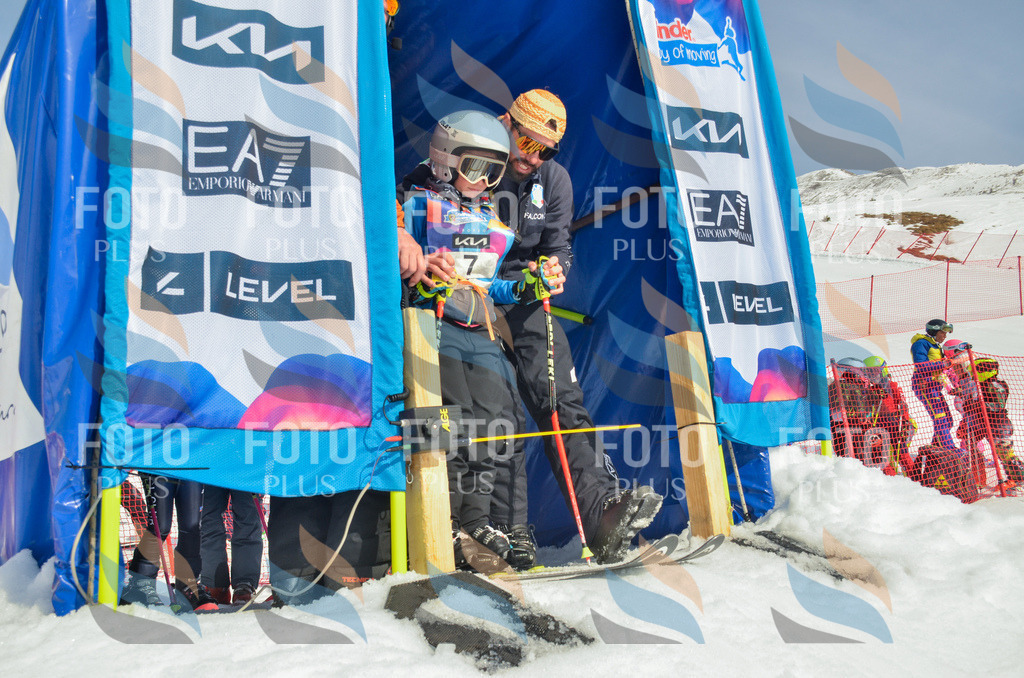 _ELE4480 | holidayphoto