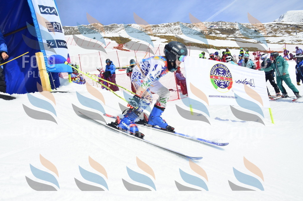 _ELE1723 | holidayphoto