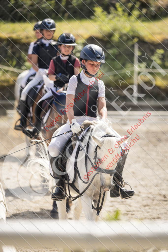 IMG_5001 | Sport-, Event- und Tierfotos in Profiqualität. Einfach auswählen, bestellen und herunterladen. Dein Moment – perfekt festgehalten.