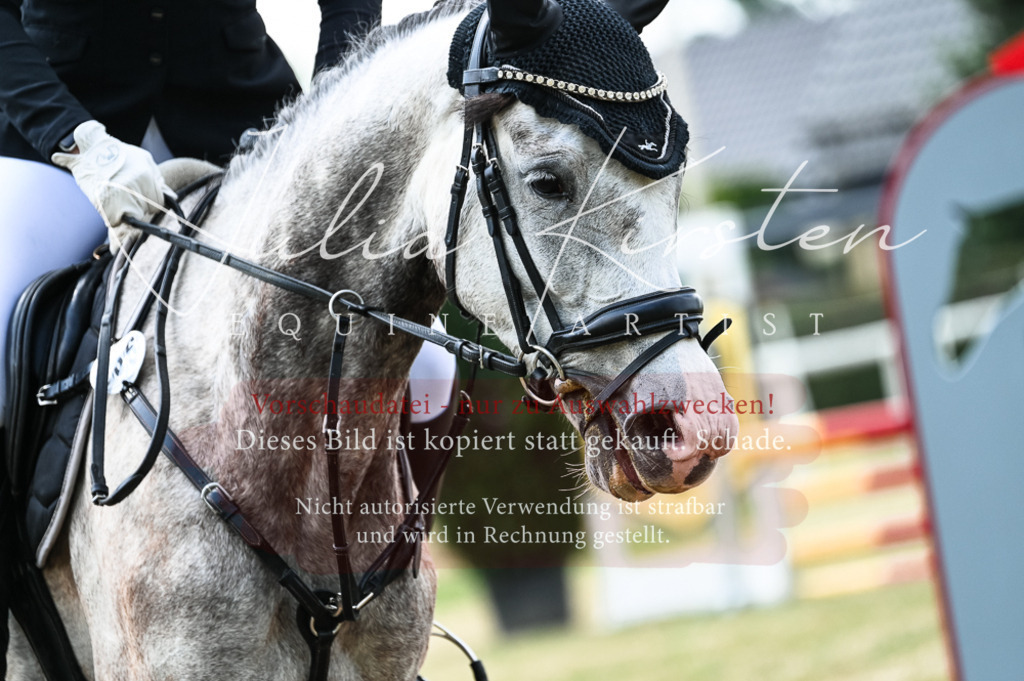 DSC_8939 | Pferde- und Turnierfotografie in Westsachsen. Pferdeportraits, Auftragszeichnungen und intuitive Kunst.