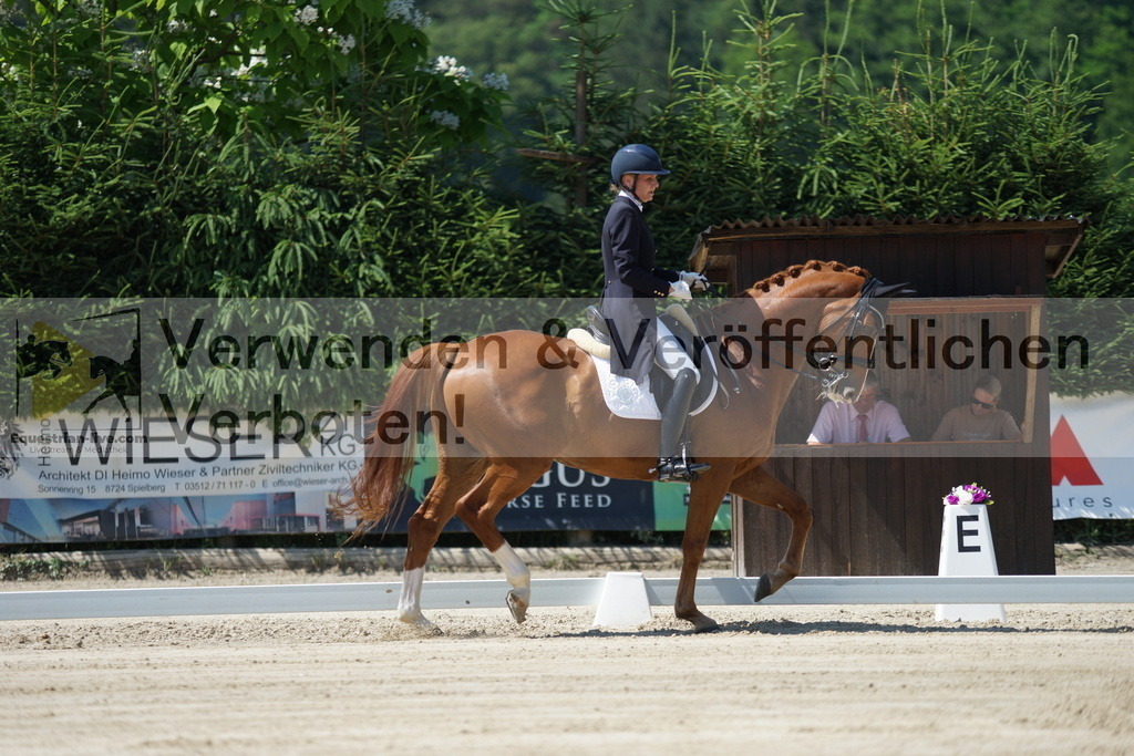 DSC02195 | equestrian-live-com