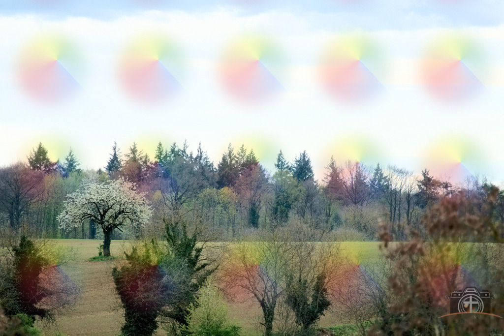 L-Frühling-0001 | Entdecken Sie eine vielfältige Auswahl individueller Fotos zum Kauf auf picturalux.de. Finden Sie hochwertige Bilder für Ihre Projekte, die Ihre Botschaft perfekt unterstreichen. Stöbern Sie jetzt und verleihen Sie Ihren Inhalten das gewisse Etwas! - Realisiert mit Pictrs.com