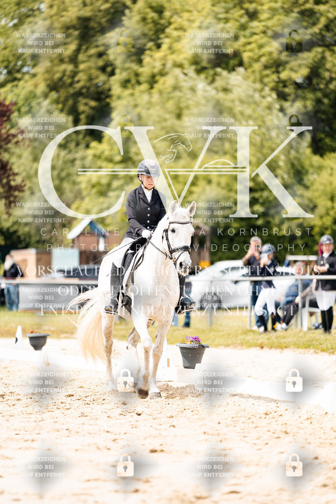 CK902442 | Turnierfotografie Pferdefotografie Trier Rheinland-Pfalz Pferdesport Reitsport Tierfotografie Sportfotografie Pferdevideo Pferdevideografie Equestrianvideography equestrianphotography  - Realisiert mit Pictrs.com