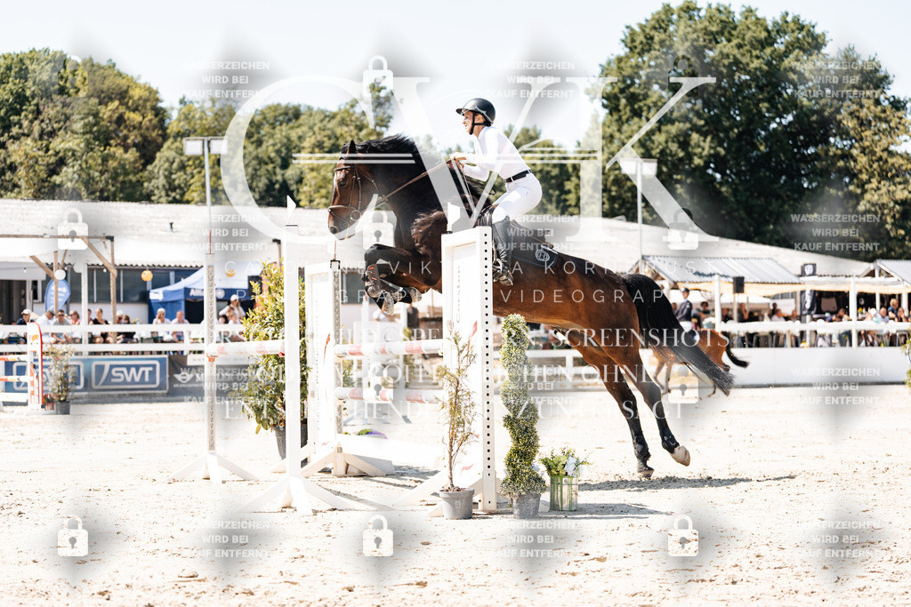 CK909950 | Turnierfotografie Pferdefotografie Trier Rheinland-Pfalz Pferdesport Reitsport Tierfotografie Sportfotografie Pferdevideo Pferdevideografie Equestrianvideography equestrianphotography  - Realisiert mit Pictrs.com