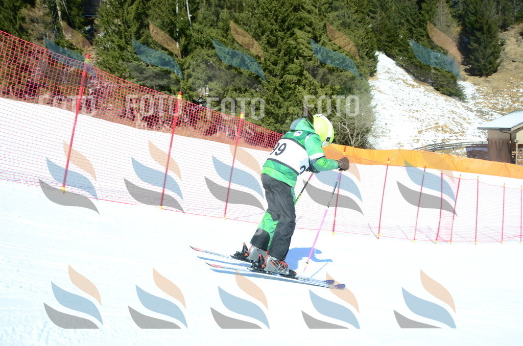 C5746 | holidayphoto