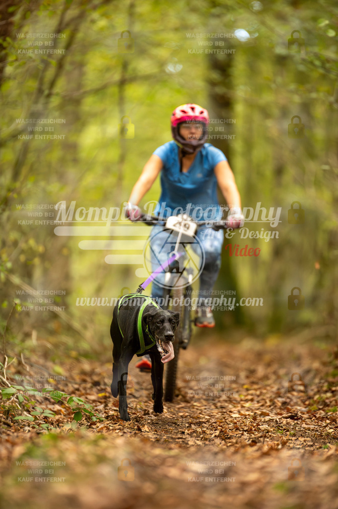 TSB_2023_E1_Bike-32 | PayLife