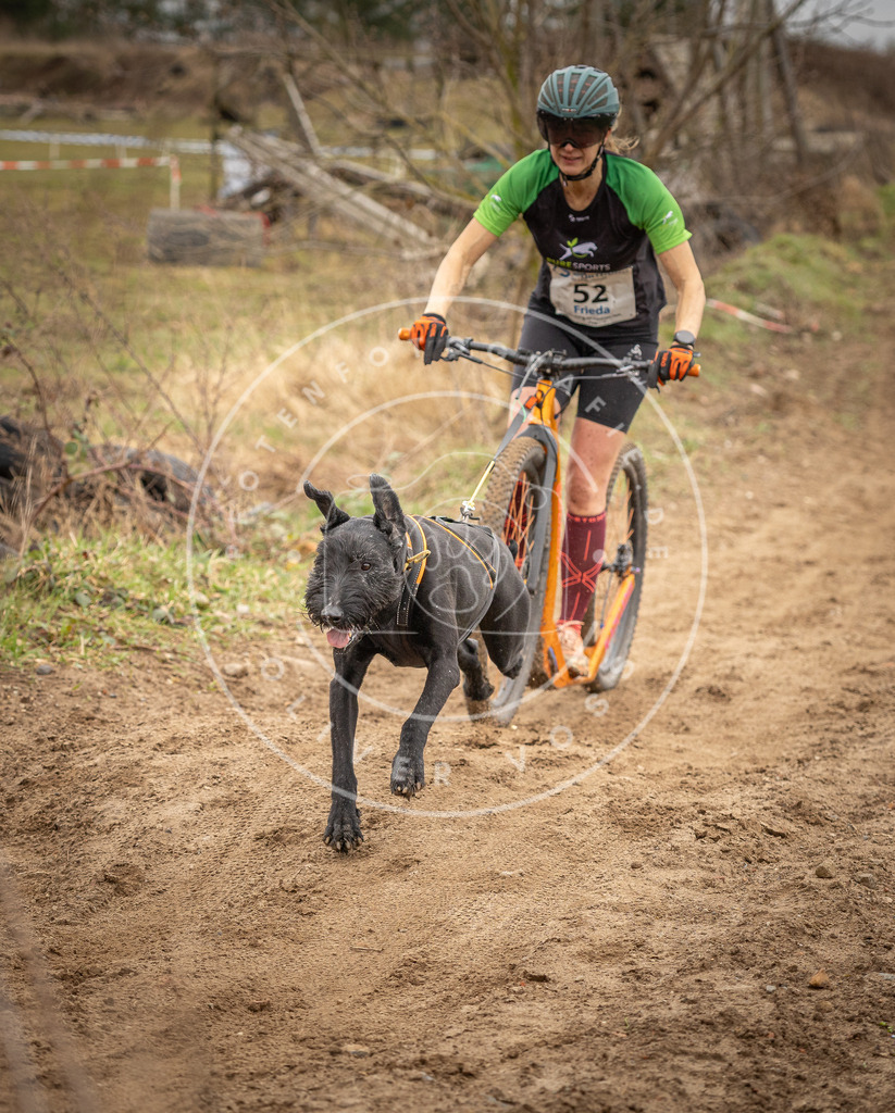 DV3A1430 | Hundefotografie, Tierfotograf, Pfotenfotografie, Fotoshooting Hund, Hunde Portrait, Hundesport, Hundeportraits, Heideshooting, Hunde, Sportfotograf, Hundefotograf, Turnierhundsport, THS,  - Realisiert mit Pictrs.com