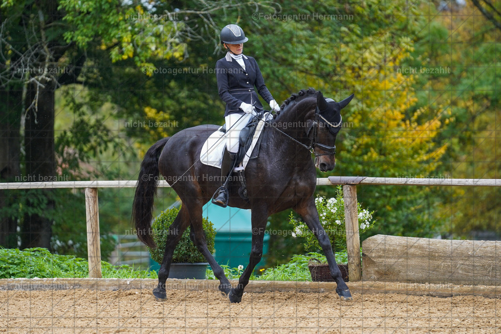 20221008-FAH01902 | Diessen am Ammersee, 2022, Dressur- und Springturnier, Reitsportbilder, Turnierfotografen Bayern, Pferdefotografen, Fotoagentur Herrmann, Turnierbilder