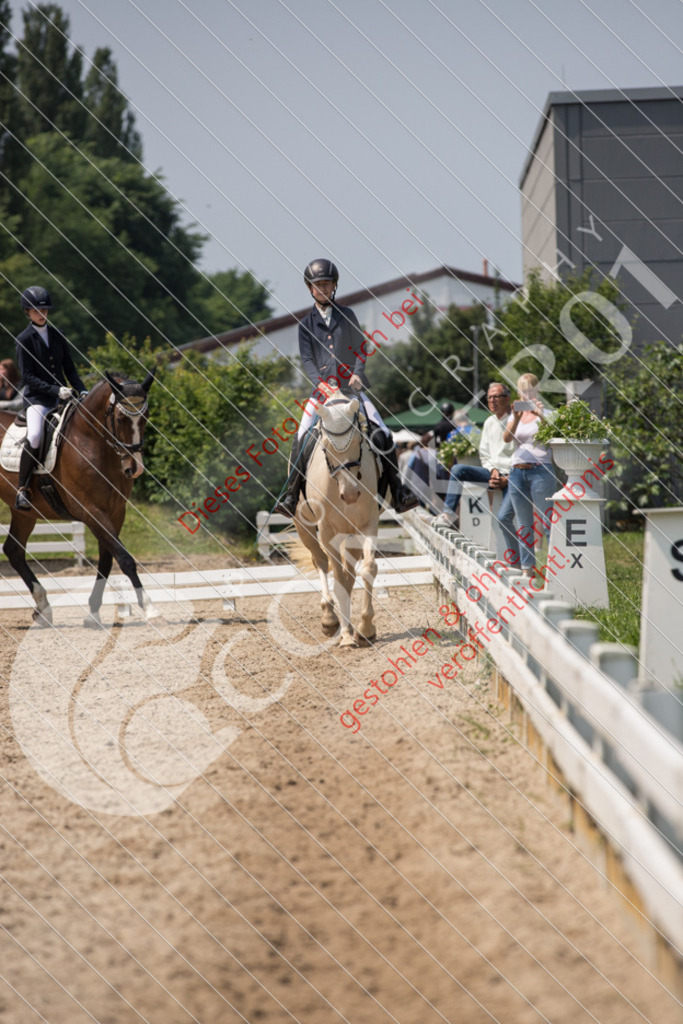 IMG_3724 | Sport-, Event- und Tierfotos in Profiqualität. Einfach auswählen, bestellen und herunterladen. Dein Moment – perfekt festgehalten.