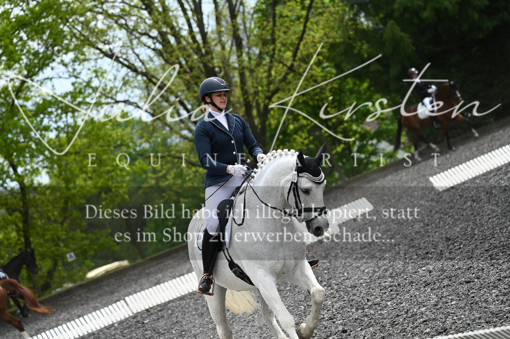 20230512_JK-Röhrsdorf-07-215 | Pferde- und Turnierfotografie in Westsachsen. Pferdeportraits, Auftragszeichnungen und intuitive Kunst.