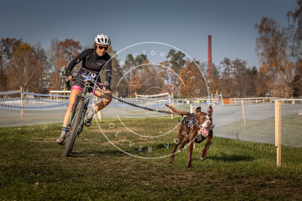 CaniXpix_0L8A7782 | Hundefotografie, Tierfotograf, Pfotenfotografie, Fotoshooting Hund, Hunde Portrait, Hundesport, Hundeportraits, Heideshooting, Hunde, Sportfotograf, Hundefotograf, Turnierhundsport, THS,  - Realisiert mit Pictrs.com