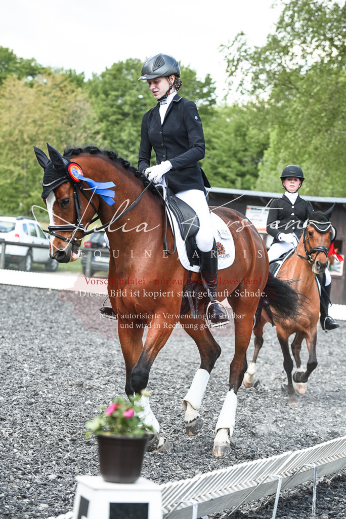 DSC_9084 | Pferde- und Turnierfotografie in Westsachsen. Pferdeportraits, Auftragszeichnungen und intuitive Kunst.