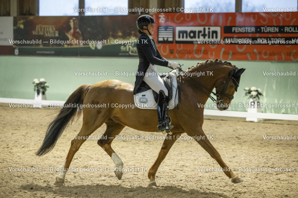 _D5A7296 | Emotionale Pferde- & People-Fotografie rund um Heidelberg, Leimen & Umgebung. Natürliche Fotos von Pferd, Mensch & Familie. Jetzt Termin sichern!