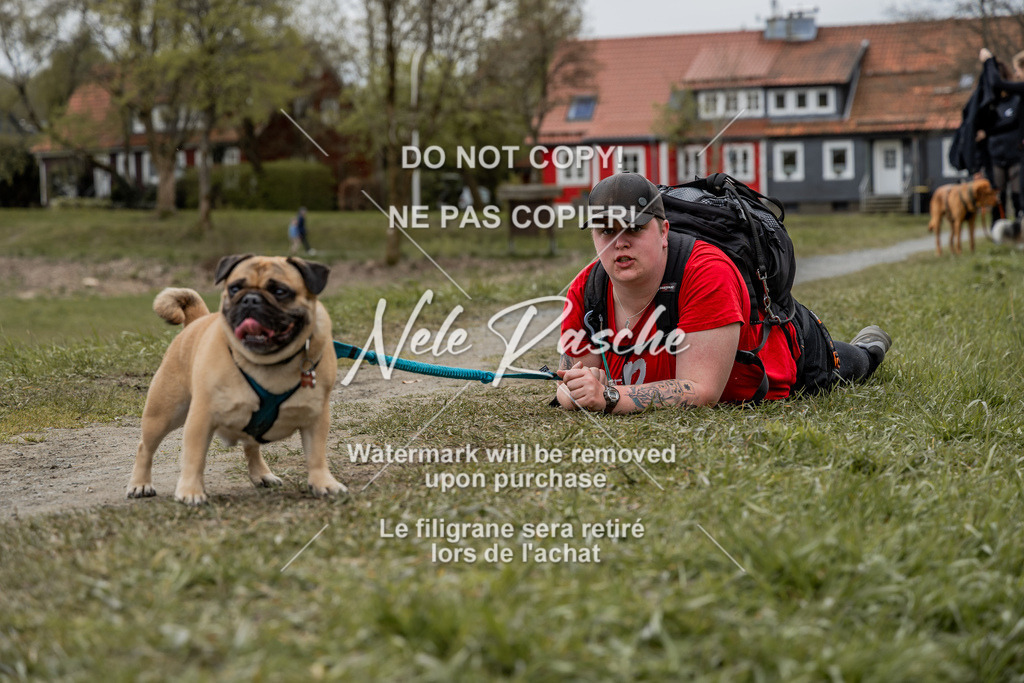 NR__2656 | nelerasche