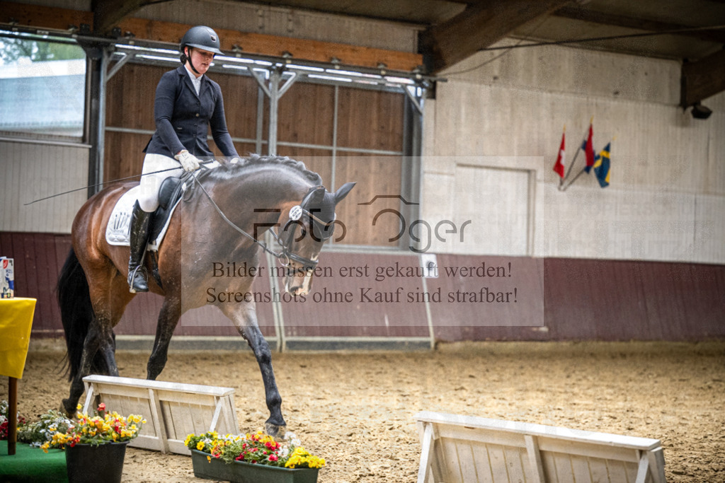 DOS_1394 | Reitturnier Lüdinghausen - Realisiert mit Pictrs.com