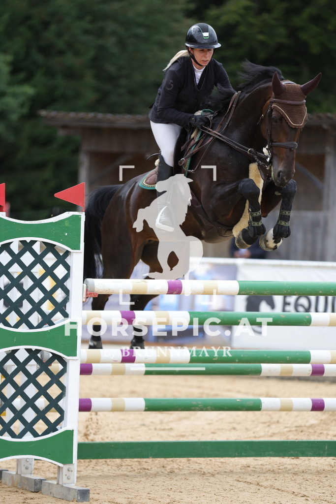 0P6A6131 | Willkommen bei Brunnmayr - Design & Fotografie – Ihrem Spezialisten für Reitturniere und Pferdeveranstaltungen in Oberösterreich, Salzburg und Bayern! Seit über 17 Jahren sind wir leidenschaftlich dabei.