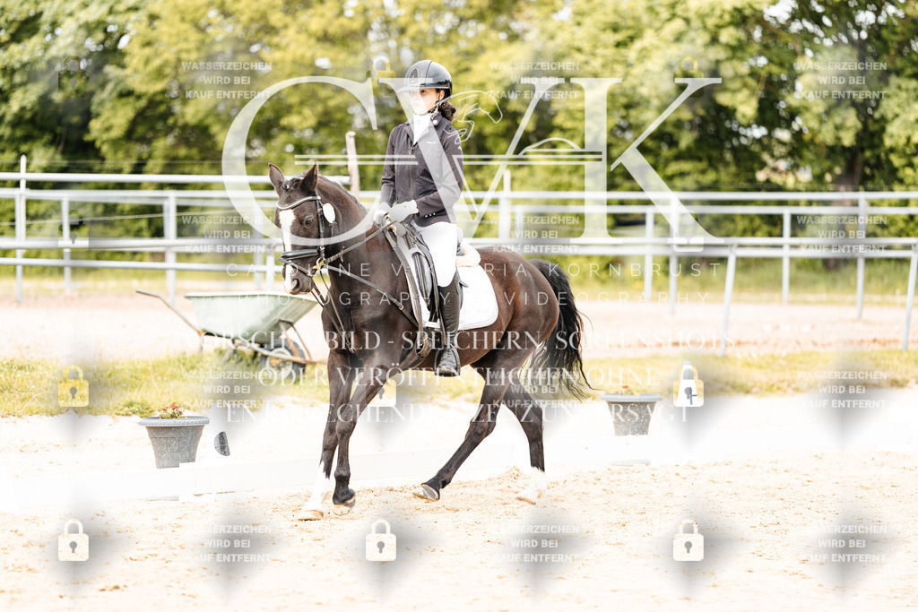 CK904341 | Turnierfotografie Pferdefotografie Trier Rheinland-Pfalz Pferdesport Reitsport Tierfotografie Sportfotografie Pferdevideo Pferdevideografie Equestrianvideography equestrianphotography  - Realisiert mit Pictrs.com