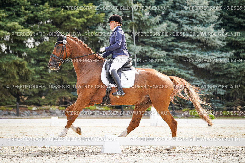 DSC07361 | Pferdegrafie