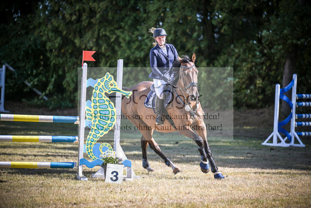 DOS_1240 | Entdecke hochwertige Reitturnierfotos von Foto Oger. Professionell, emotional und authentisch – jetzt Lieblingsmomente im Shop bestellen.Deutschlandweite Turnierfotografie. - Realisiert mit Pictrs.com