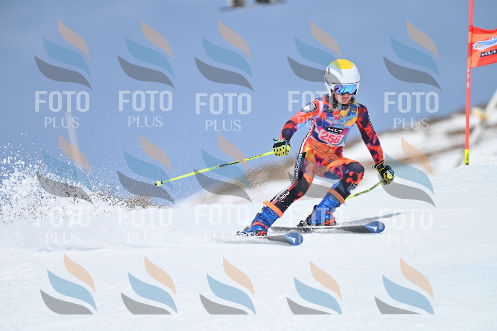 BGV_2029 | holidayphoto