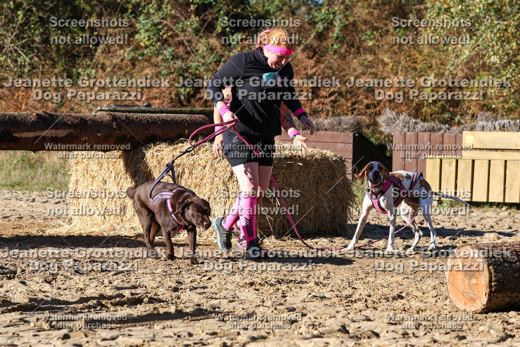 Dog Paparazzi - Strongdog 10-25-1962 | Dog Paparazzi Jeanette Grottendiek Fotografie & Videografie - Realisiert mit Pictrs.com