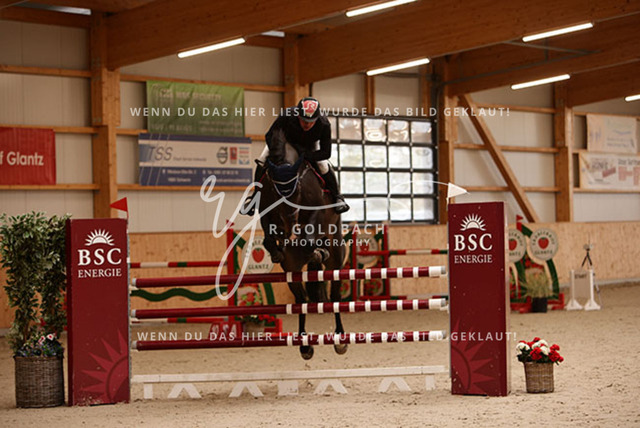 1J2A4676Paul Wiktor_ Quinto 109_ Kn437_ Glantz_ Hohen Wieschendorf | Foto- und Videografie für alles rund ums Pferd. Hochwertige Bilder und Videos vom Spring- und Dressurreiten, Voltigieren & mehr. Jetzt aktuelle Veranstaltungen und Preise im Shop ansehen. - Realisiert mit Pictrs.com