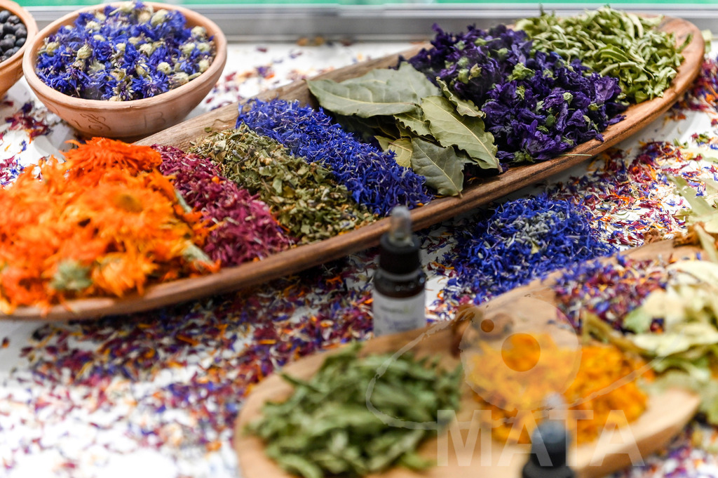 _DWI3596 | Das Herz der internationalen Bio-Branche schlug vom 26.–29.07.2022 für vier Tage in Nürnberg. Die BIOFACH, Weltleitmesse für Bio-Lebensmittel, und die VIVANESS, Internationale Fachmesse für Naturkosmetik, meldet sich mit der einmaligen „Summer Edition“ zurück. Groß war die Wiedersehensfreude der über 24.000 Fachbesucher aus 137 Ländern. Im Fokus: Der persönliche Austausch, Networking und vertiefte Gespräche zu den Themen der Zeit. Aber auch: Neuheiten und Trends entdecken und eintauchen mit allen Sinnen in die Produktvielfalt der 2.276 Aussteller aus 94 Ländern. Nürnberg, 29.07.2022 - Realisiert mit Pictrs.com