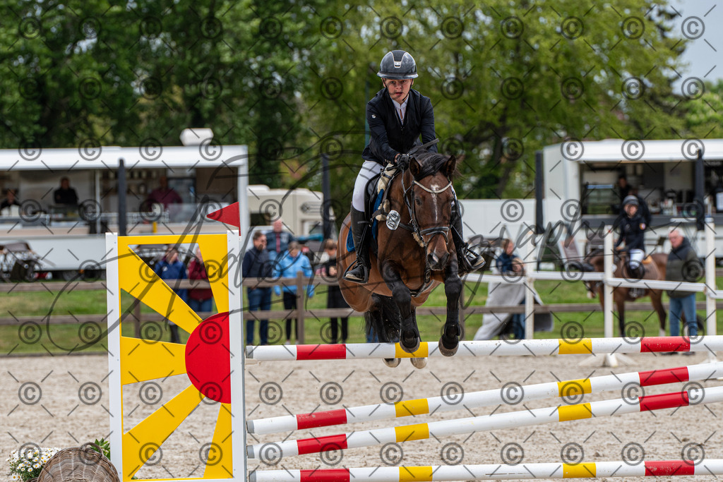 KPT_8178 | andre_photographic