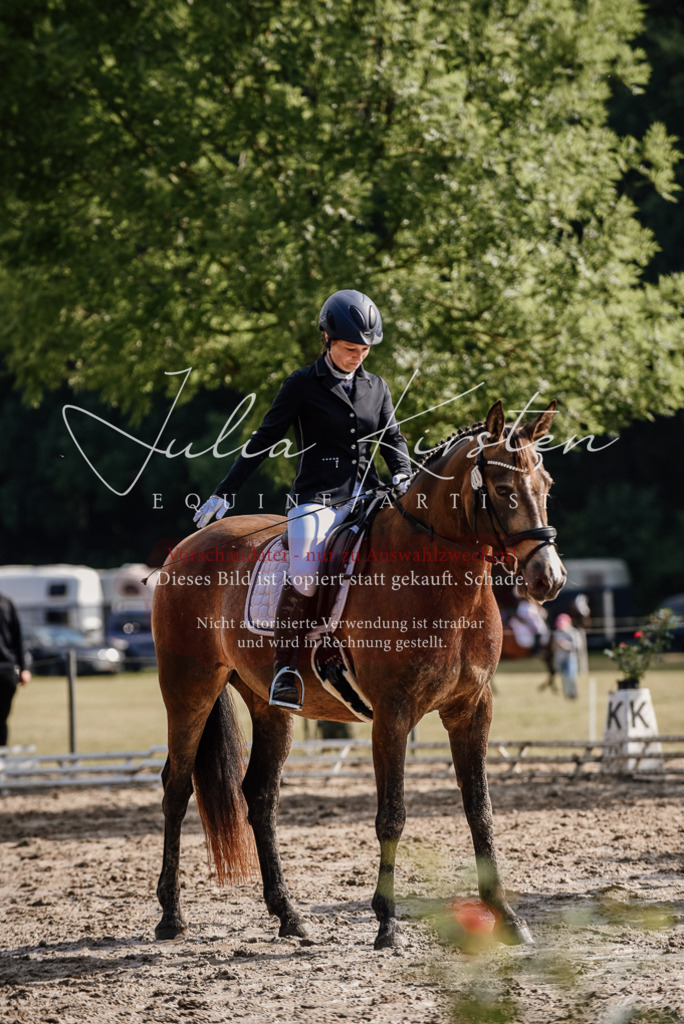 DSC_9228 | Pferde- und Turnierfotografie in Westsachsen. Pferdeportraits, Auftragszeichnungen und intuitive Kunst.