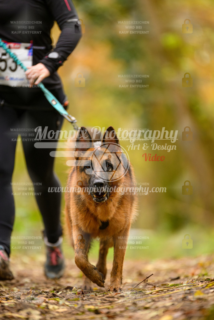 MompixPhotography_Bischwiller24_SA_Canicross-71 | PayLife