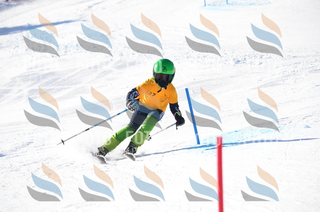 C6405 | holidayphoto