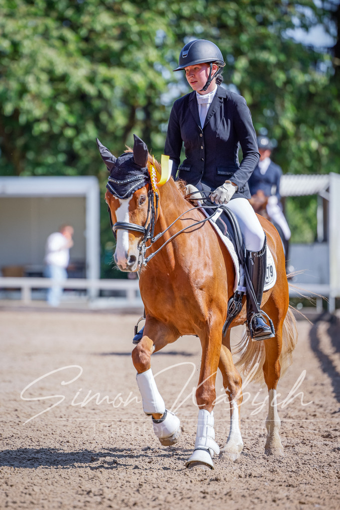 20250621-_3LI9854 | Tierfotografie Pferde, Hunde, Katzen, Haustiere.
Turnierfotografie Reitturniere, Reiten, Springreiten, Dressur in Hanau, dem Main-Kinzig-Kreis und dem Rhein-Main- Gebiet um Frankfurt