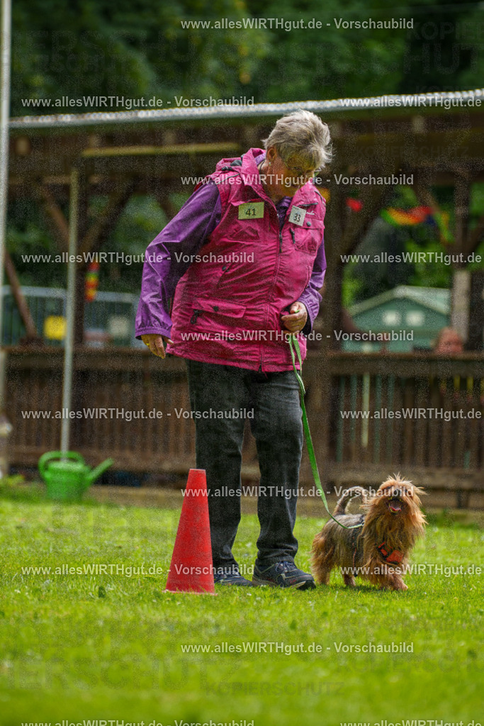 @allesWIRTHgut_Tierfotografie - www.allesWIRTHgut.de - 122339-7R508938 | Professionelle Tierfotografie in Mönchengladbach von Daniel Wirth (allesWIRTHgut). Liebevolle & natürliche Bilder von Hunden & Katzen für unvergessliche Erinnerungen.