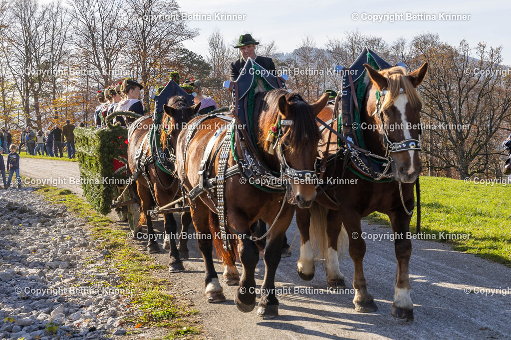 LBT24-1362 | foto-bettina-krinner - Realisiert mit Pictrs.com