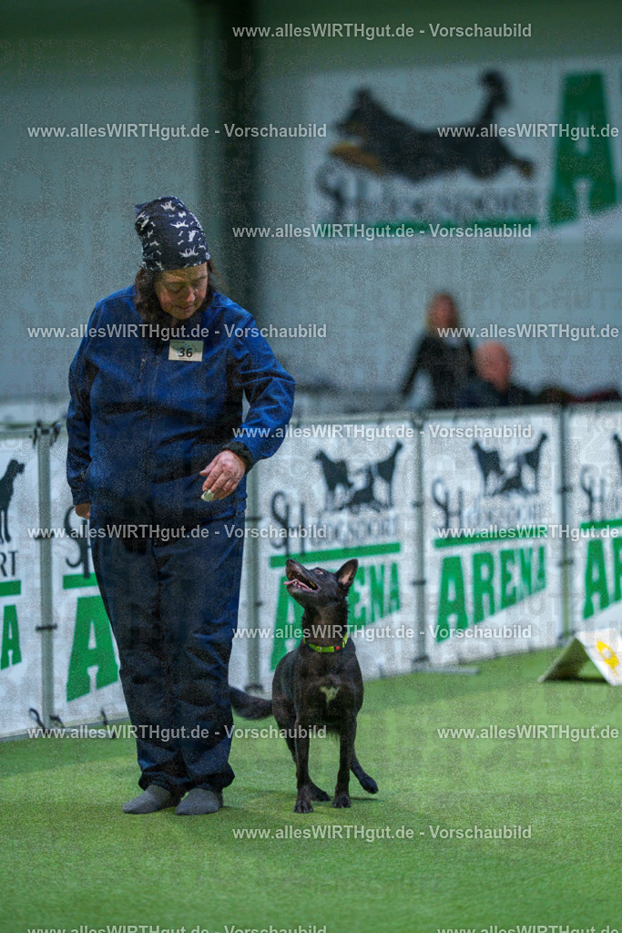 7R505995 | Professionelle Tierfotografie in Mönchengladbach von Daniel Wirth (allesWIRTHgut). Liebevolle & natürliche Bilder von Hunden & Katzen für unvergessliche Erinnerungen.