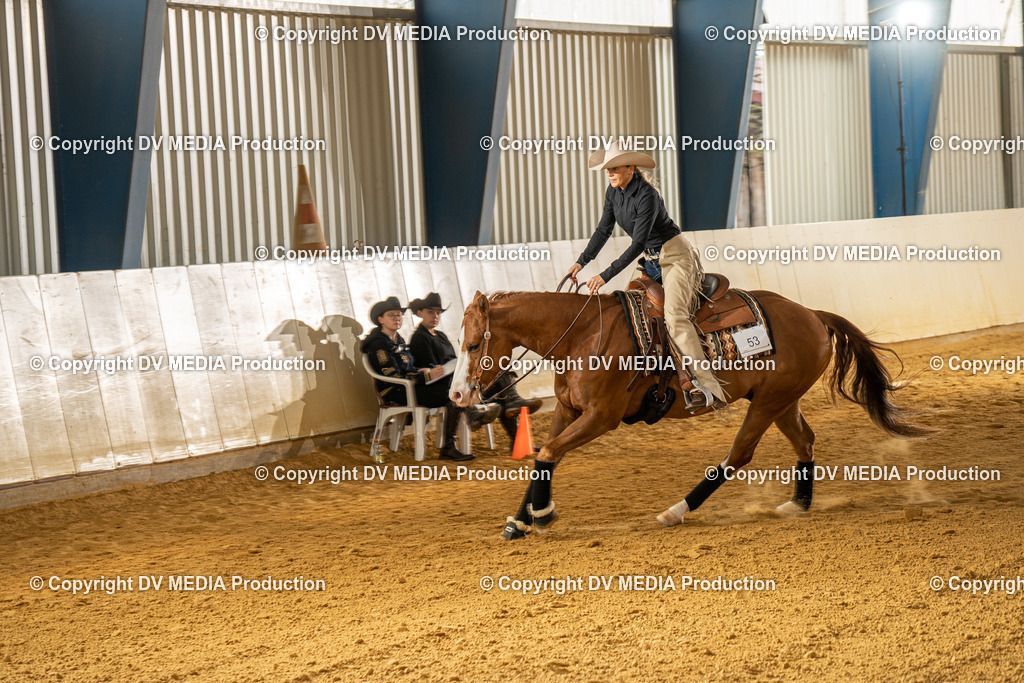 MIT01050 | dv-media-shop - Realisiert mit Pictrs.com