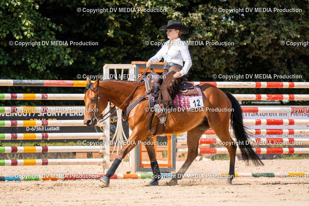 ZH100236 | dv-media-shop - Realisiert mit Pictrs.com