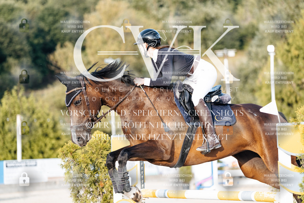 CK900830 | Turnierfotografie Pferdefotografie Trier Rheinland-Pfalz Pferdesport Reitsport Tierfotografie Sportfotografie Pferdevideo Pferdevideografie Equestrianvideography equestrianphotography  - Realisiert mit Pictrs.com